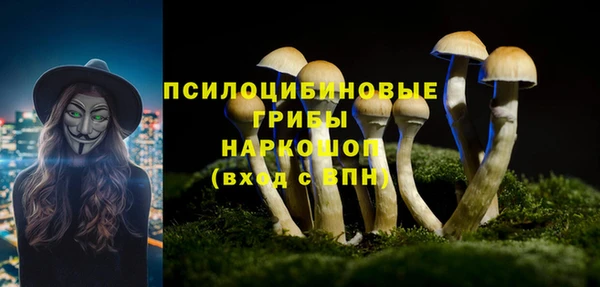 а пвп мука Балабаново